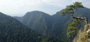 Pieniny Gebirge in Polen